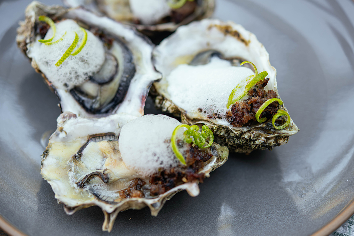 https://bewildeats.com/wp-content/uploads/2022/07/grilled-oysters-recipe.jpg